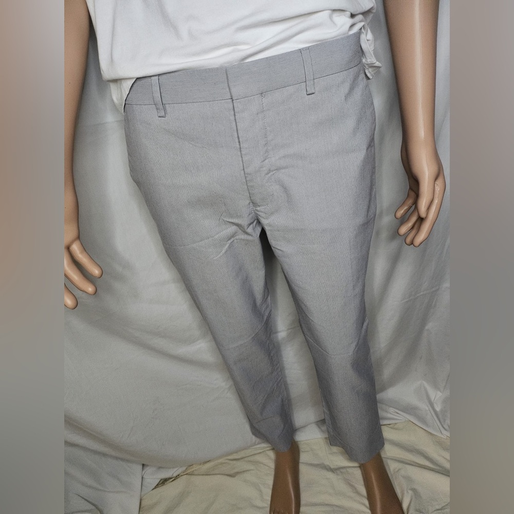 Express Dress Pants